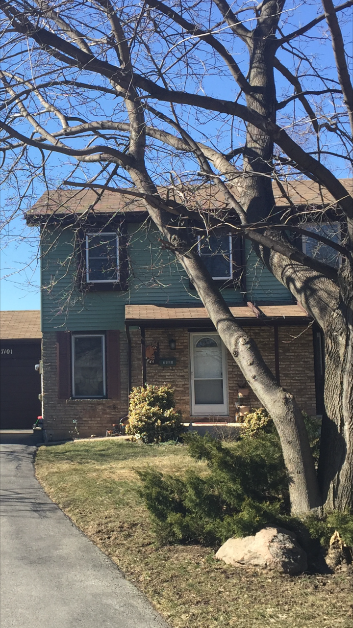 Homes For Sale Shirley Hanlon Real Estate